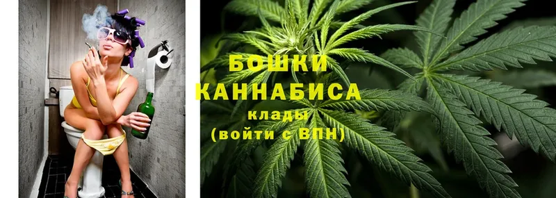 цены наркотик  Новое Девяткино  Бошки марихуана THC 21% 